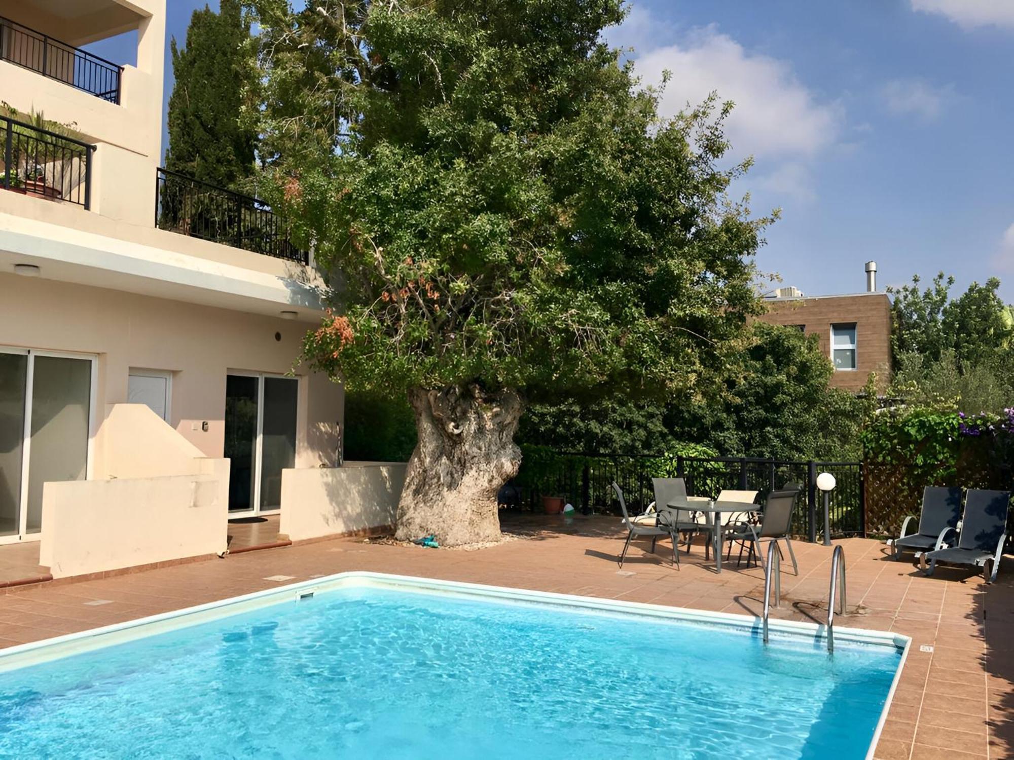 Peaceful Apartment With Double Bed - Oak Breeze Paphos Exteriér fotografie